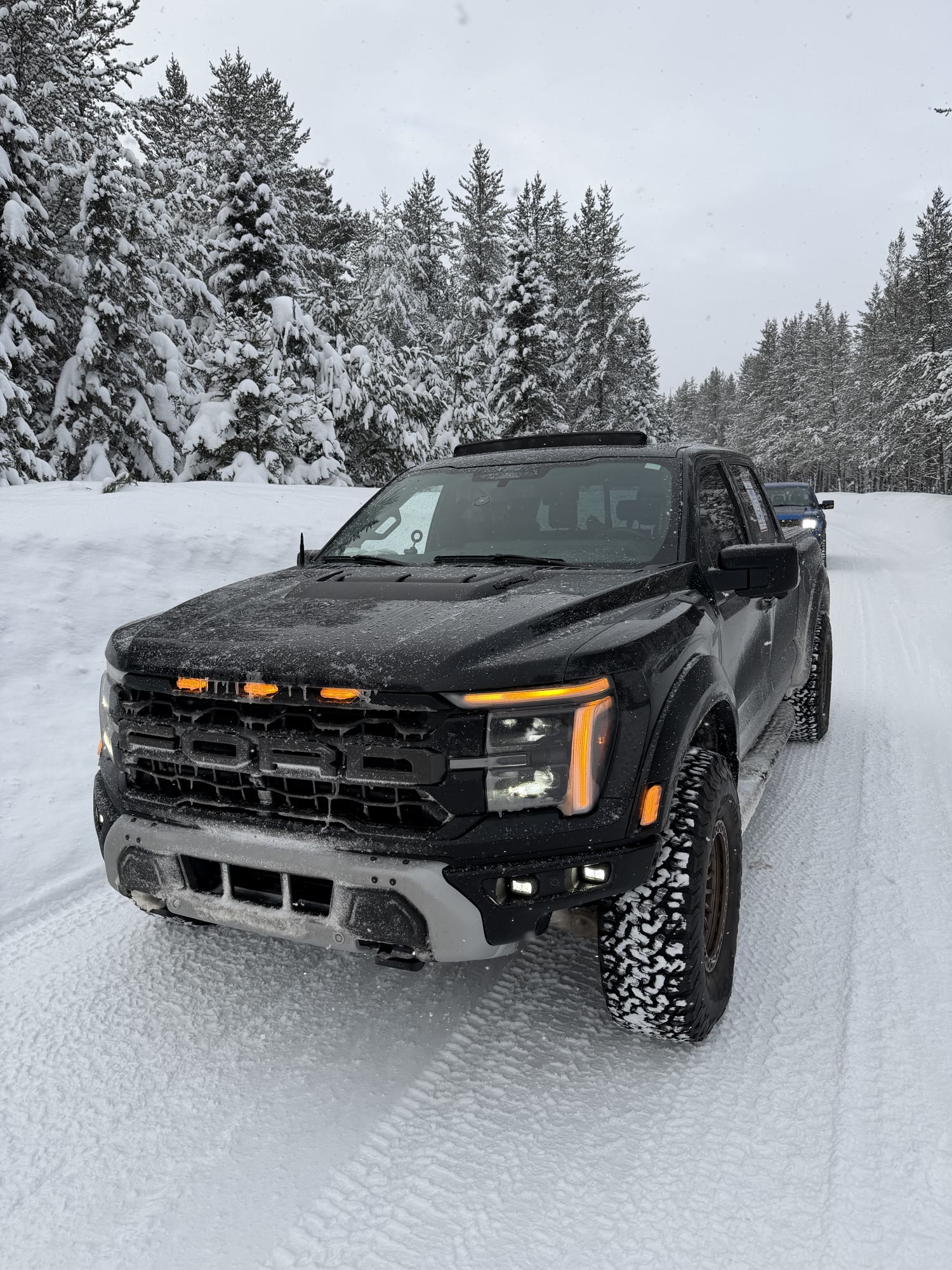 A black F-150 Raptor on a snow-covered forest road, amber marker lights on